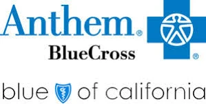Blue Cross Blue Shield
